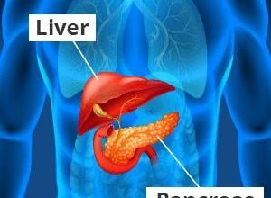 زرع خلايا جزر البنكرياس