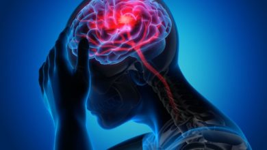 موجات الدماغ