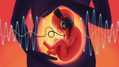 التطور العصبي للدماغ