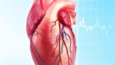 خلايا القلب