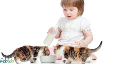 مخاطر الإصابة بالفصام