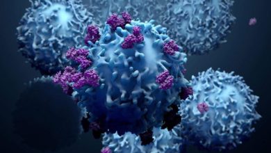 نجاح العلاج المناعي