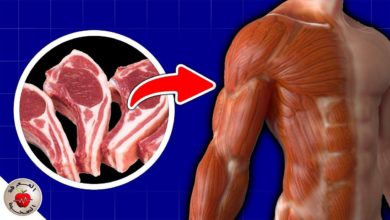 بناء العضلات